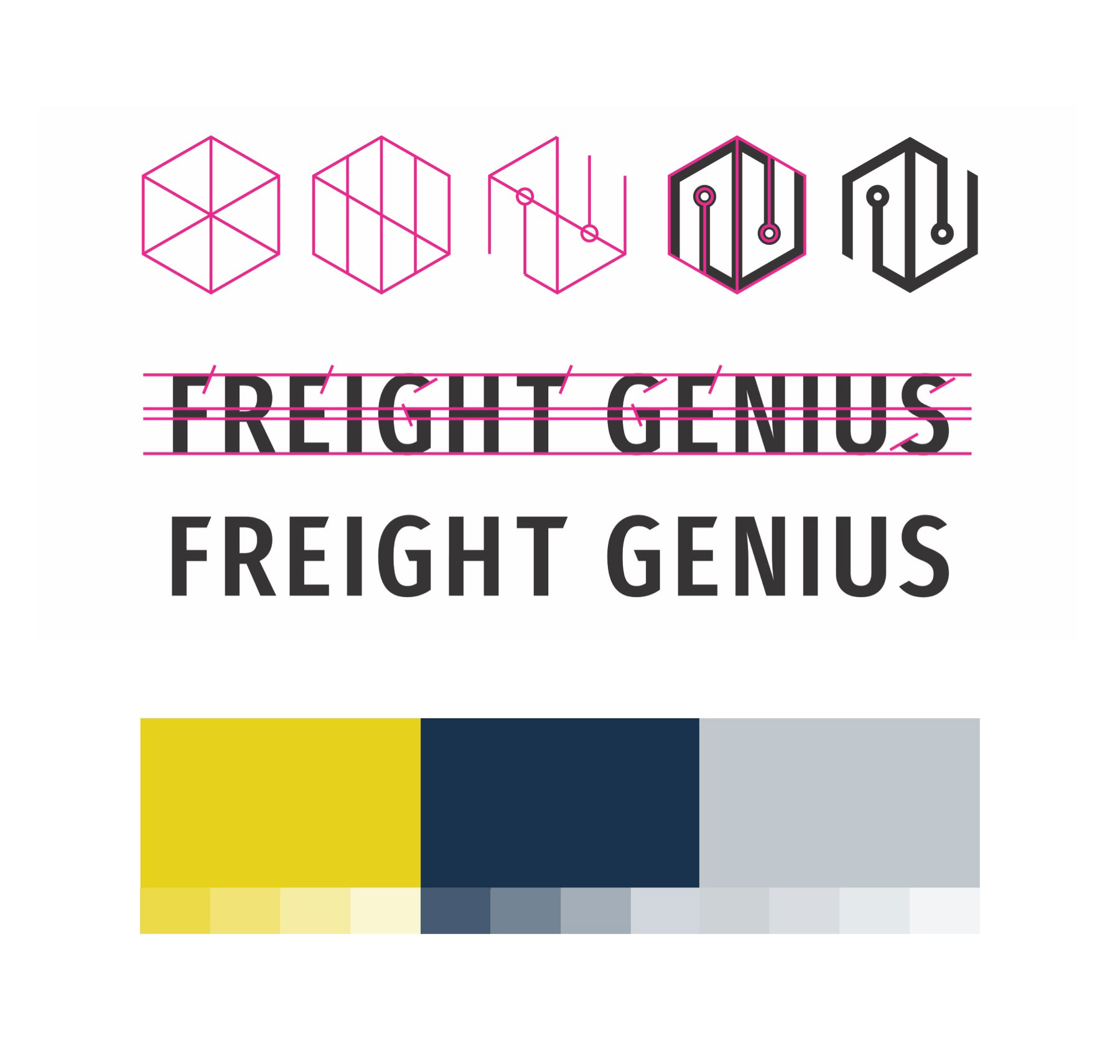 freight genius logo progression and colors